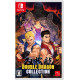 Double Dragon Collection (Multi-Language)