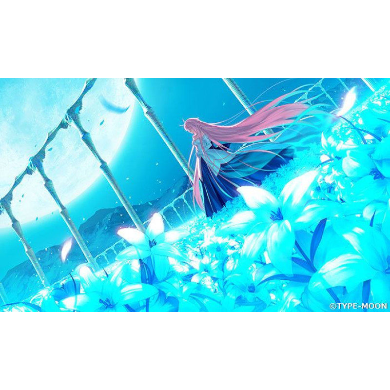 Tsukihime -A Piece of Blue Glass Moon- [Limited Edition]