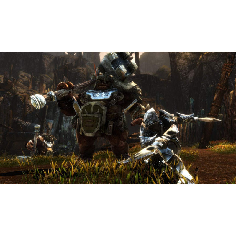 Kingdoms of Amalur: Re-Reckoning