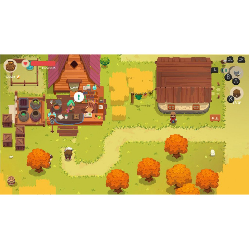 Moonlighter (Multi-Language)