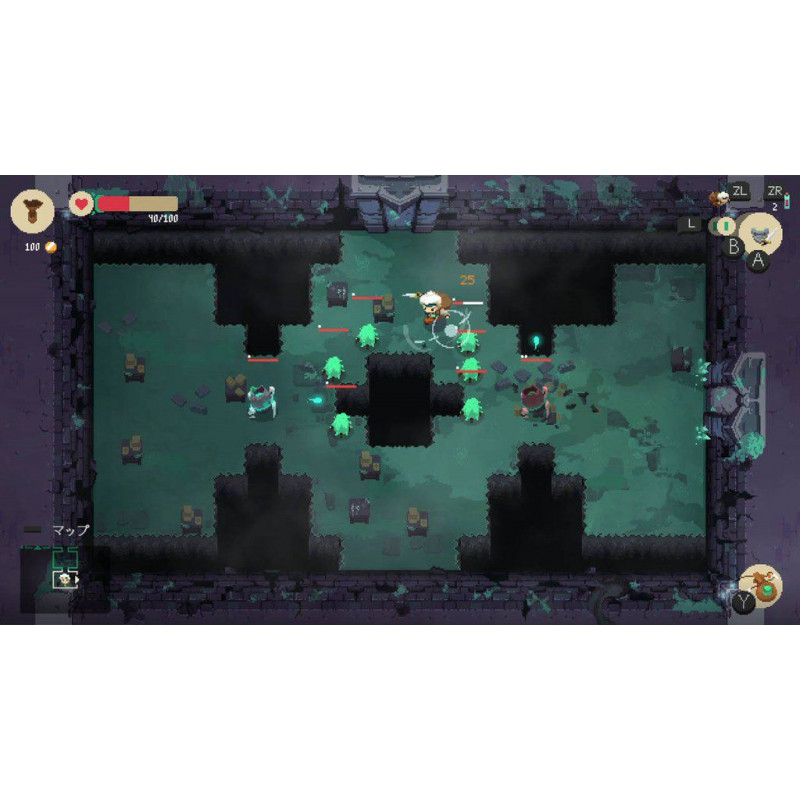 Moonlighter (Multi-Language)