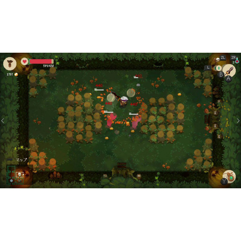 Moonlighter (Multi-Language)