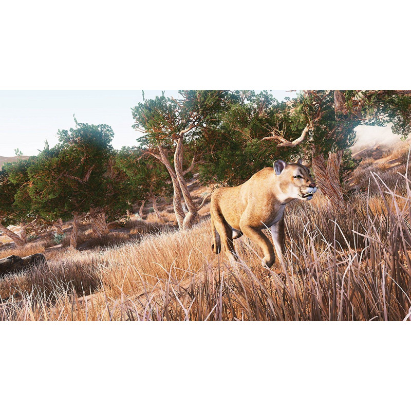 Hunting Simulator 2