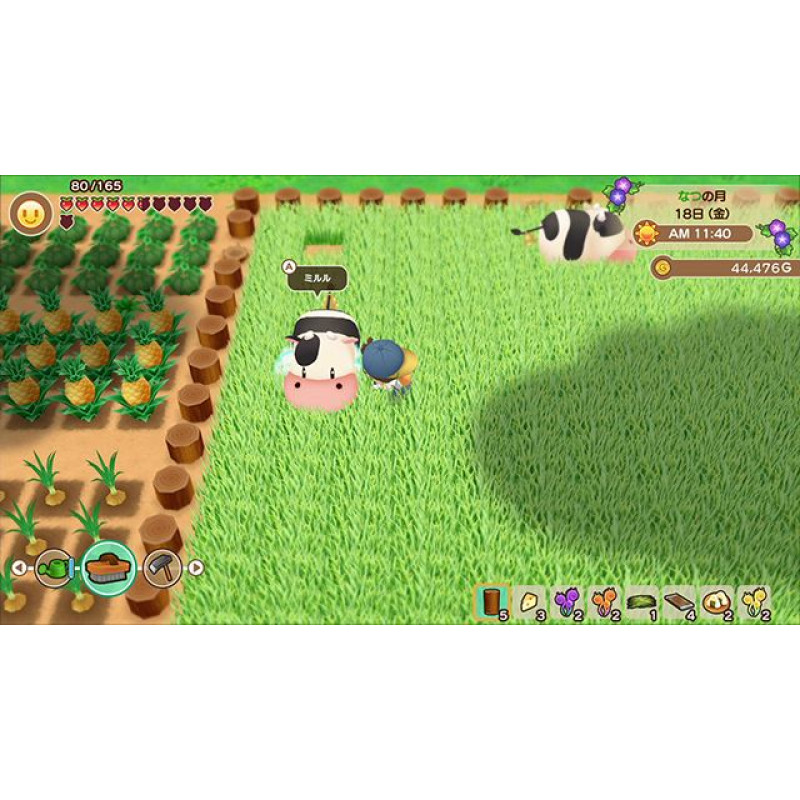 STORY OF SEASONS: Friends of Mineral Town (Chinese Subs)