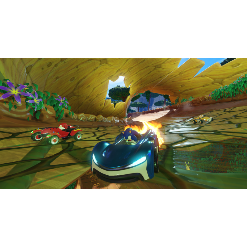 Team Sonic Racing