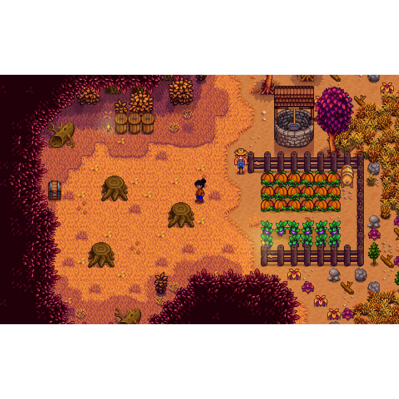 Stardew Valley [Collector's Edition]