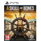 Skull & Bones