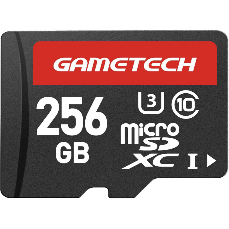 MicroSD Card for Nintendo Switch / Switch Lite (256 GB)