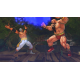 Street Fighter IV (DVD-ROM)