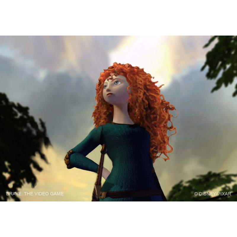 Brave (DVD-ROM)