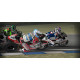 SBK 2011: FIM Superbike World Championship (DVD-ROM)