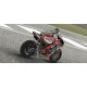 SBK 2011: FIM Superbike World Championship (DVD-ROM)