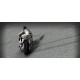 SBK 2011: FIM Superbike World Championship (DVD-ROM)