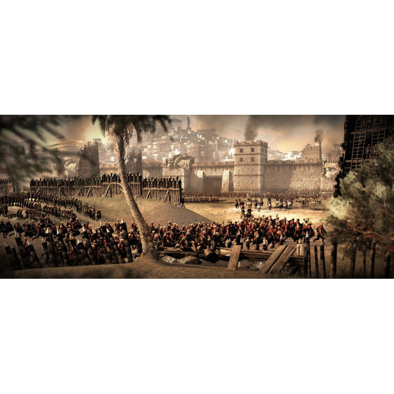 Total War: Rome II (DVD-ROM)