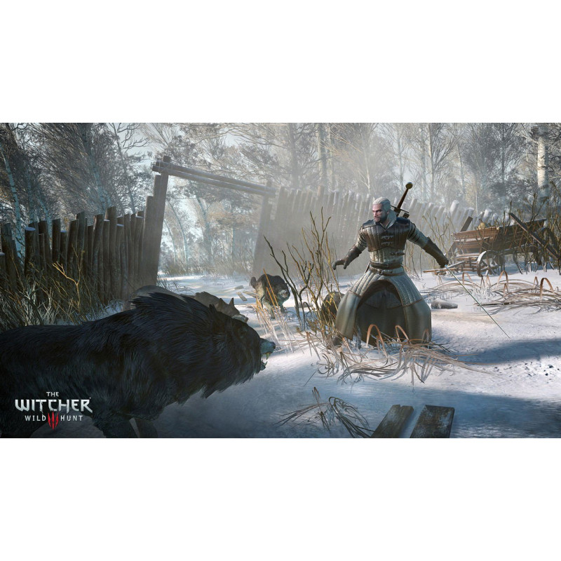 The Witcher 3: Wild Hunt (DVD-ROM)