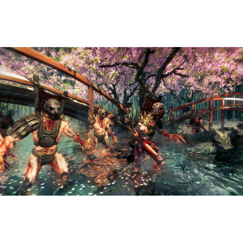 Shadow Warrior (DVD-ROM)