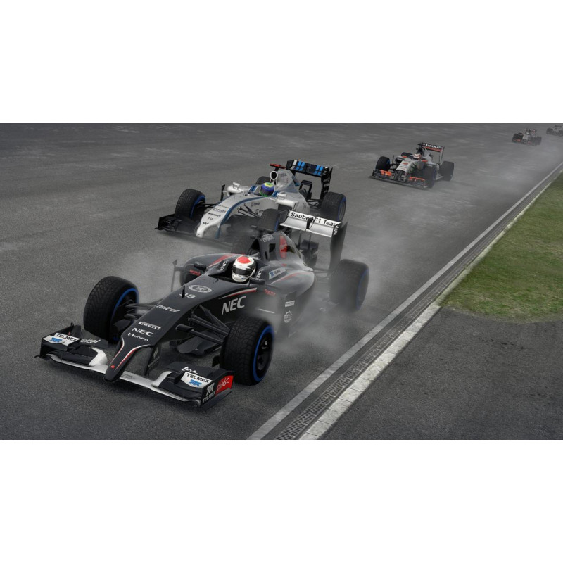 F1 2014 (DVD-ROM)