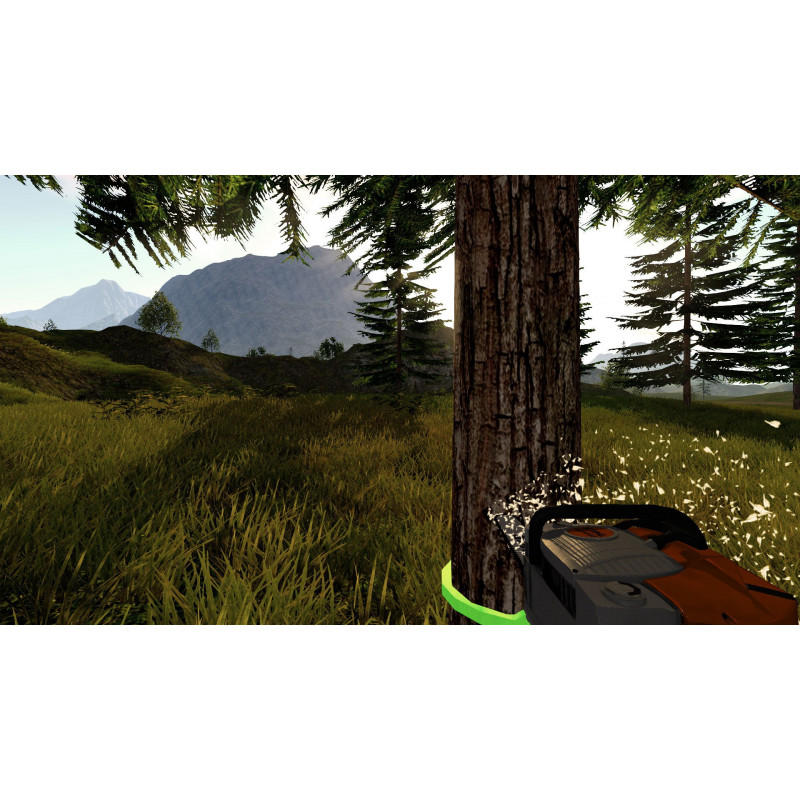 Forestry 2017: The Simulation (DVD-ROM)