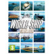 World Ship Simulator (DVD-ROM)