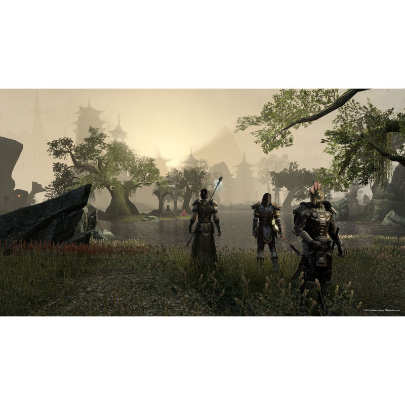 The Elder Scrolls Online: Morrowind (DVD-ROM)