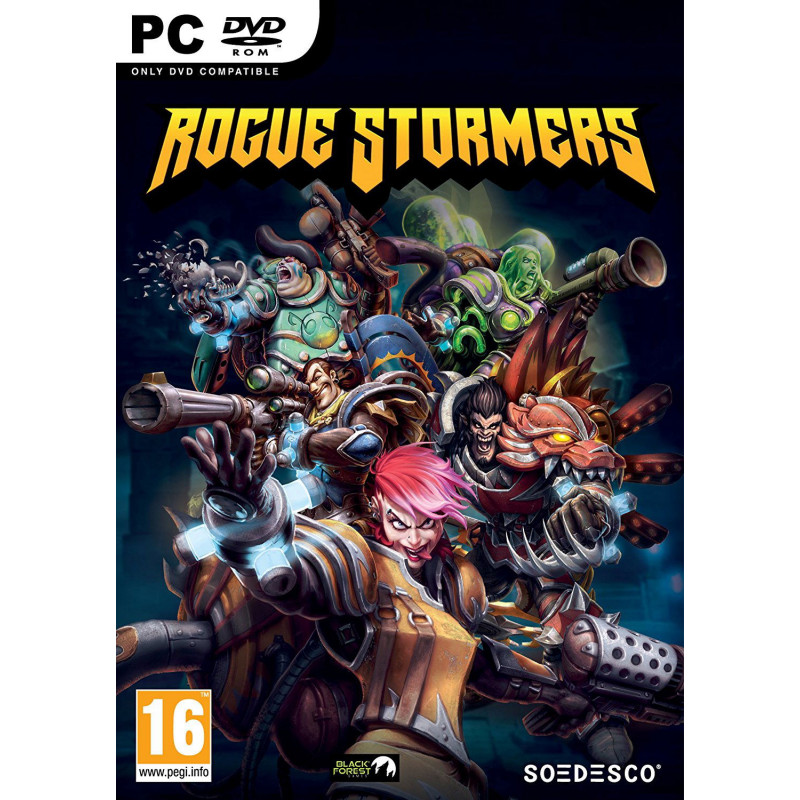 Rogue Stormers (DVD-ROM)