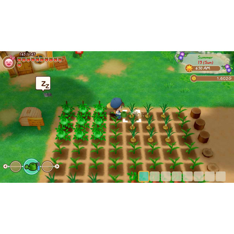 STORY OF SEASONS: Friends of Mineral Town