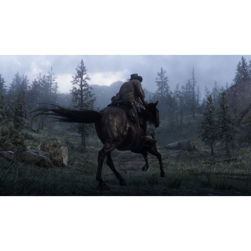 Red Dead Redemption 2 (Multi-Language)