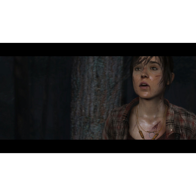 Heavy Rain and Beyond: Two Souls Collection