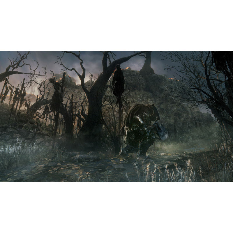 Bloodborne (PlayStation Hits)