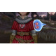 Dragon Quest X: The Maiden of Thorns and the God of Destruction Online