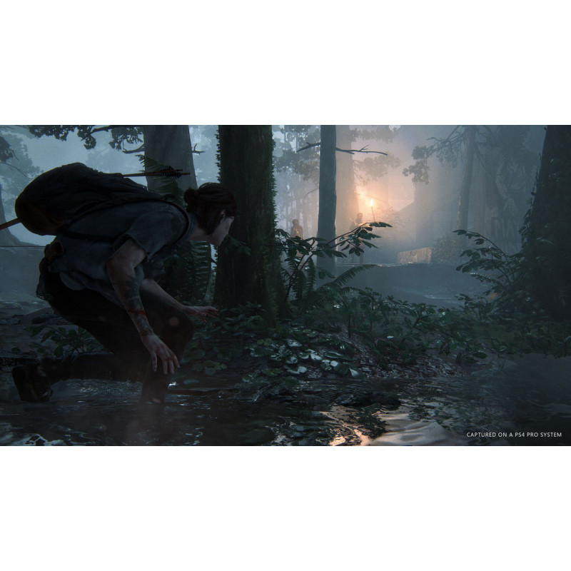 The Last of Us Part II [Value Selection] (English)