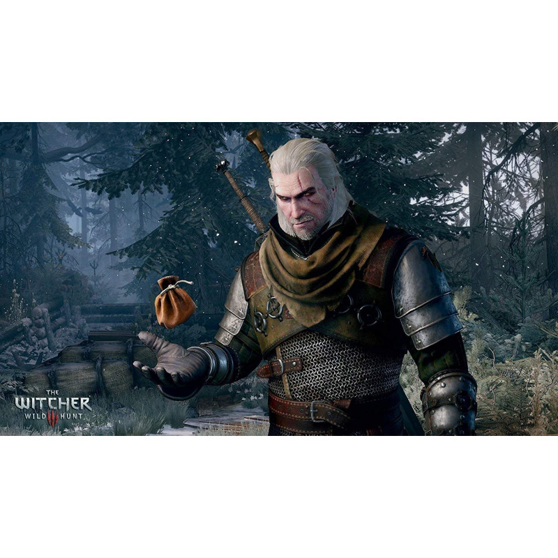 The Witcher 3: Wild Hunt