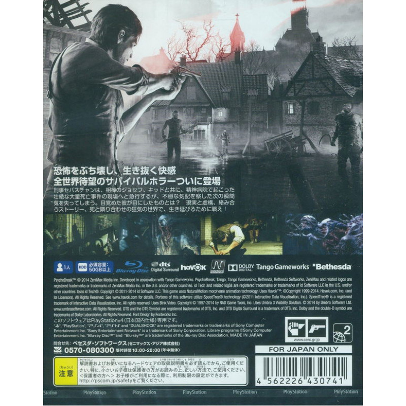 The Evil Within (English)