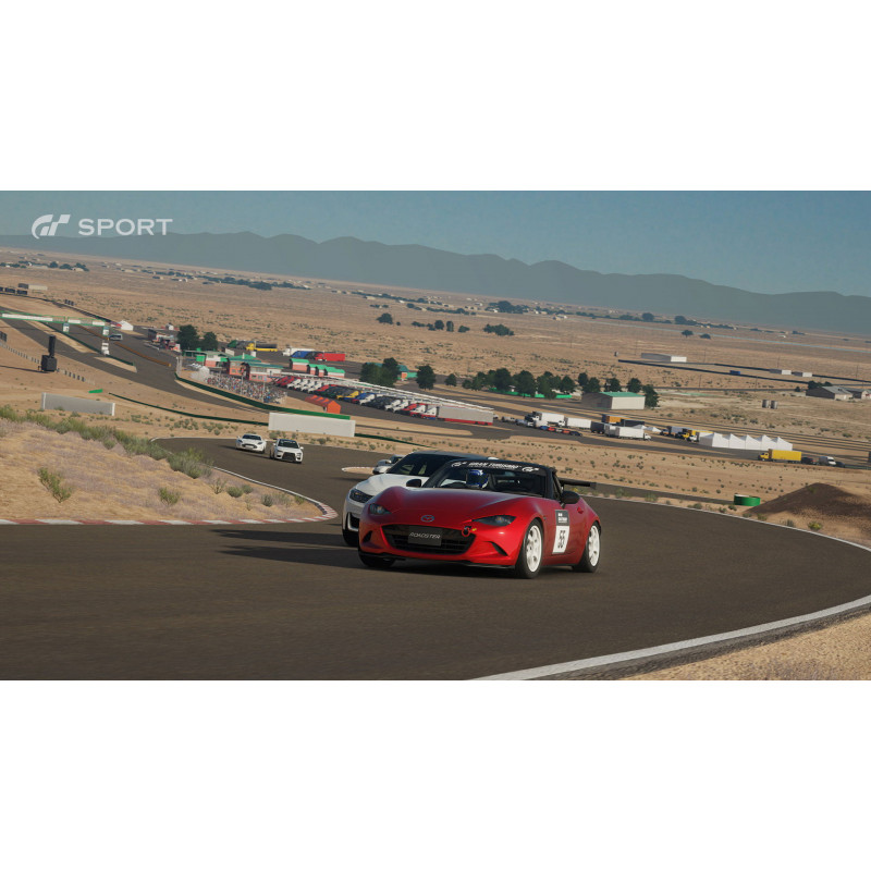 Gran Turismo Sport [Limited Edition]