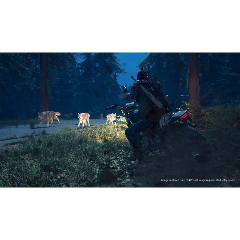 Days Gone (Multi-Language)