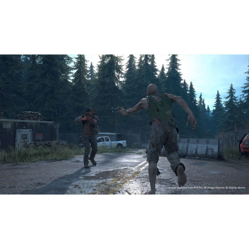 Days Gone (Multi-Language)