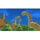 Birthdays the Beginning