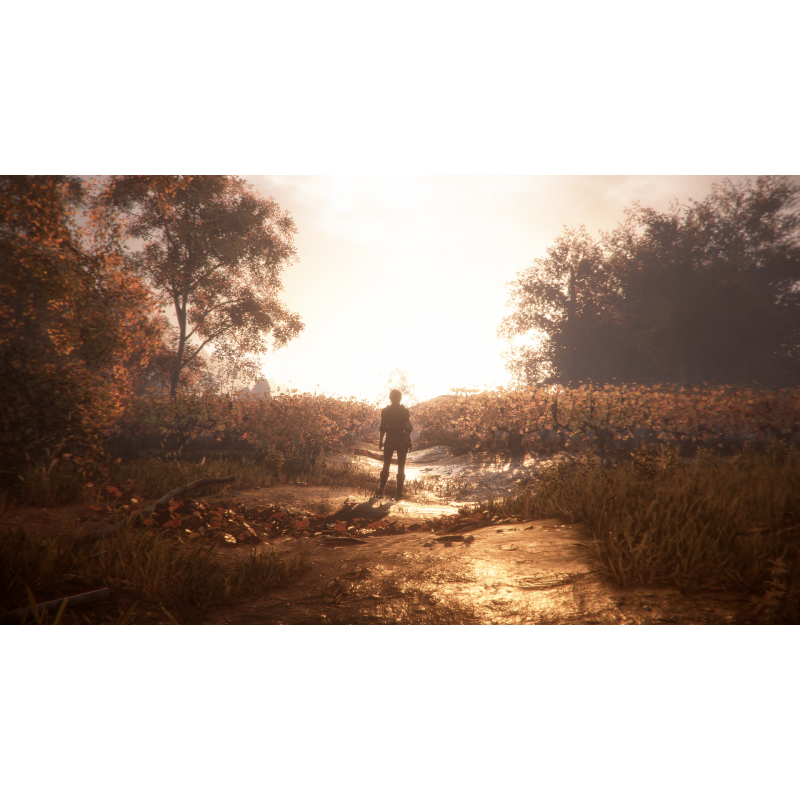 A Plague Tale: Innocence