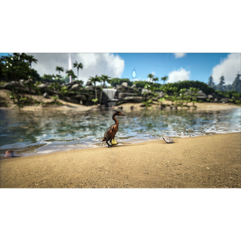 ARK: Survival Evolved