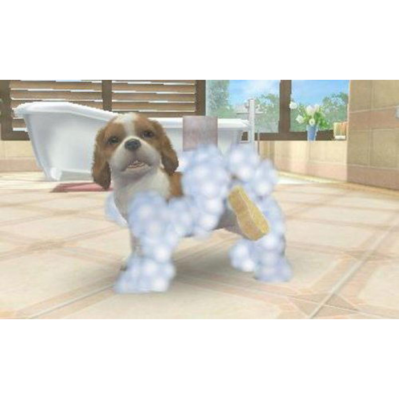 Nintendogs + Cats: Toy Poodle & New Friends