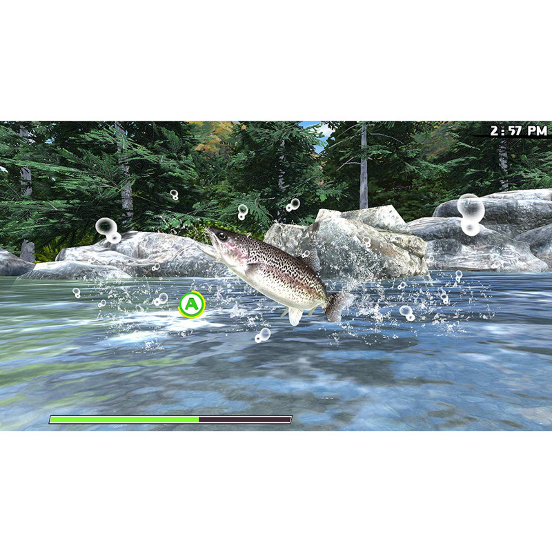 Reel Fishing Paradise 3D