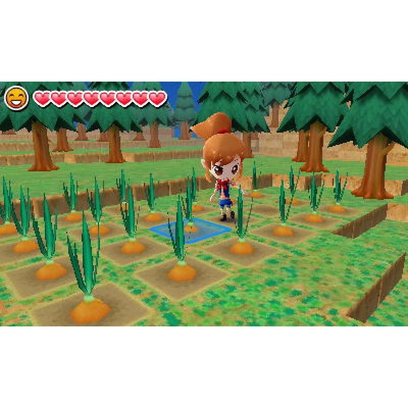 Harvest Moon 3D: The Lost Valley