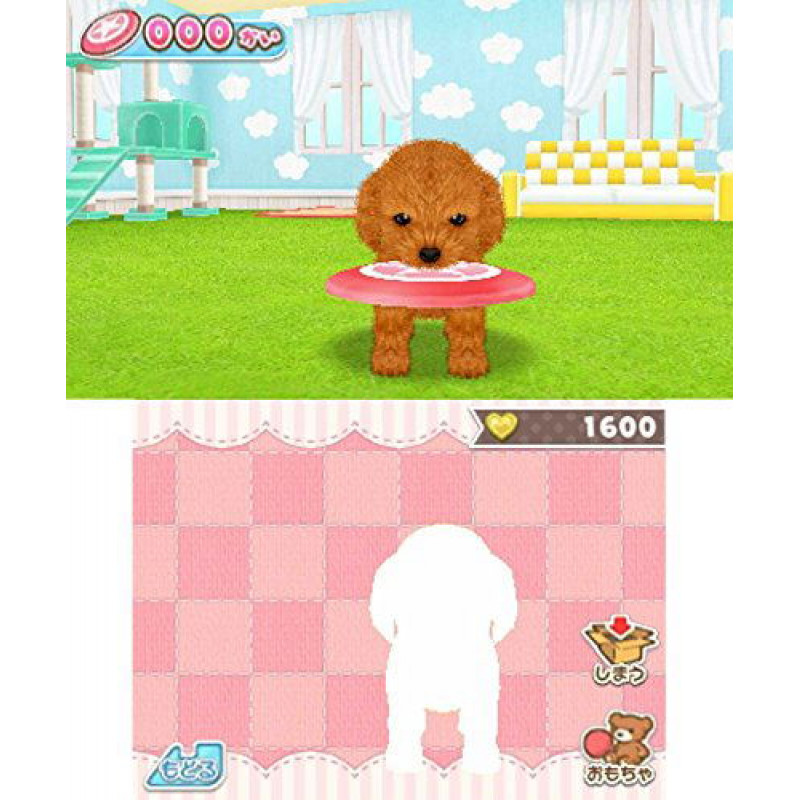 Kawaii Pet to Kurasou! Wan Nyan & Mini Mini Animal