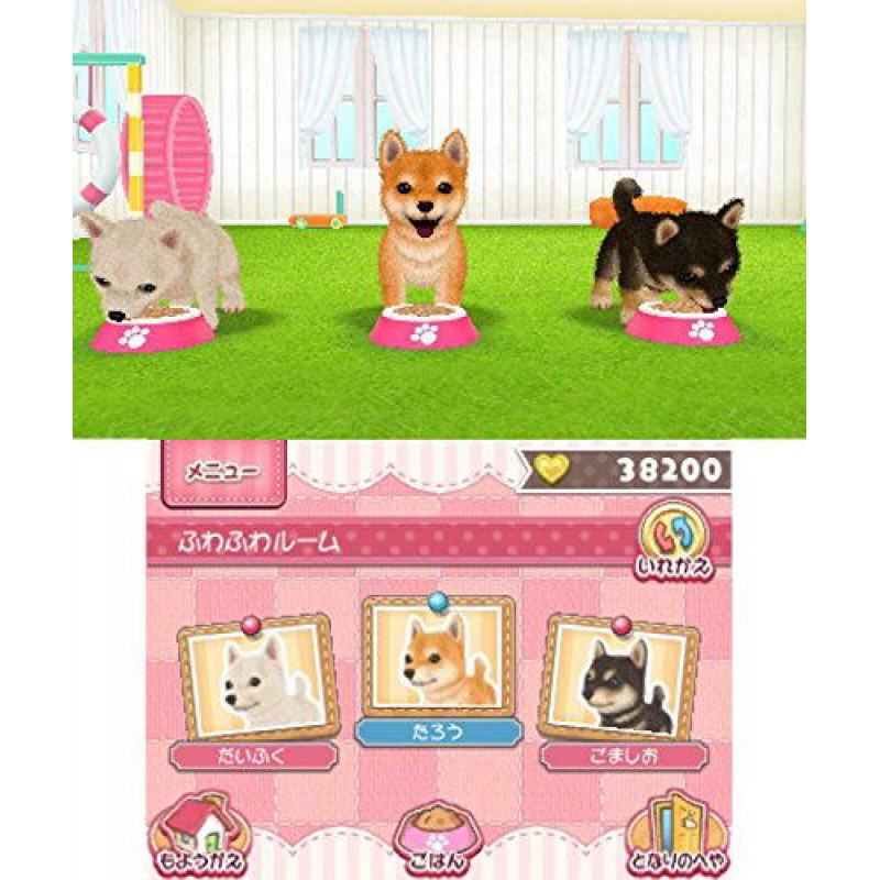 Kawaii Pet to Kurasou! Wan Nyan & Mini Mini Animal