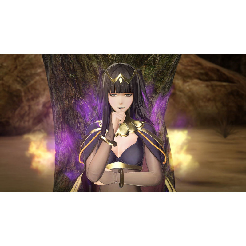 Fire Emblem Musou [Treasure Box]