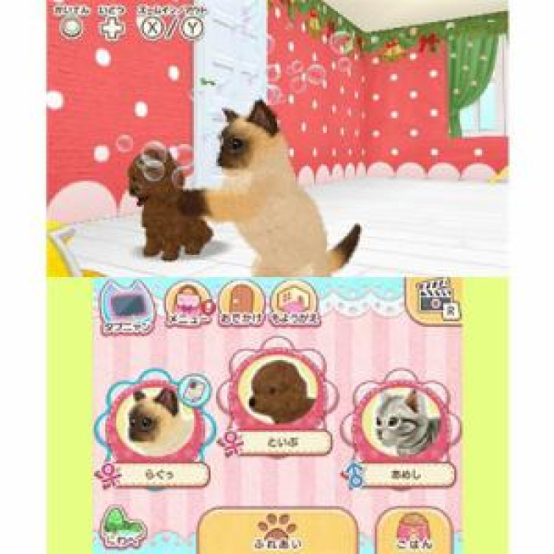 Kawaii Pet to Kurasou! Wan Nyan & Idol Animal